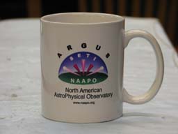 NAAPO mug