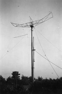 Rotatable flat-top (W8JK) antenna